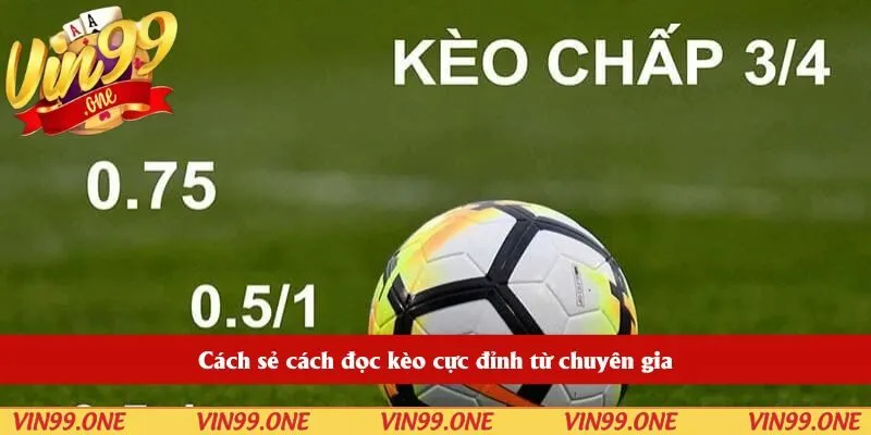 Cách sẻ cách đọc kèo cực đỉnh từ chuyên gia