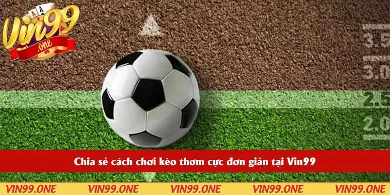 Chia sẻ cách chơi kèo thơm cực đơn giản tại Vin99
